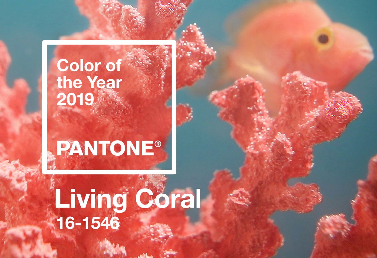 pantone color of the year2019 living coral